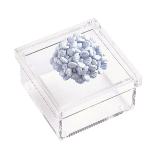 MP Acrylic Box