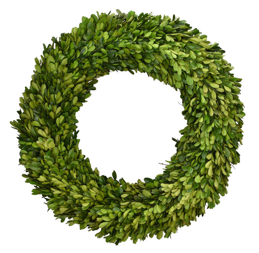 Boxwood 24" Wreath