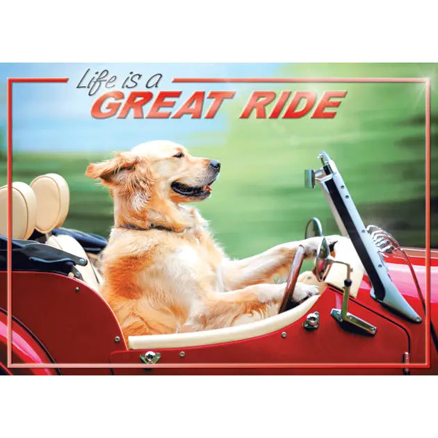 DD Dog Driving Convertible Card