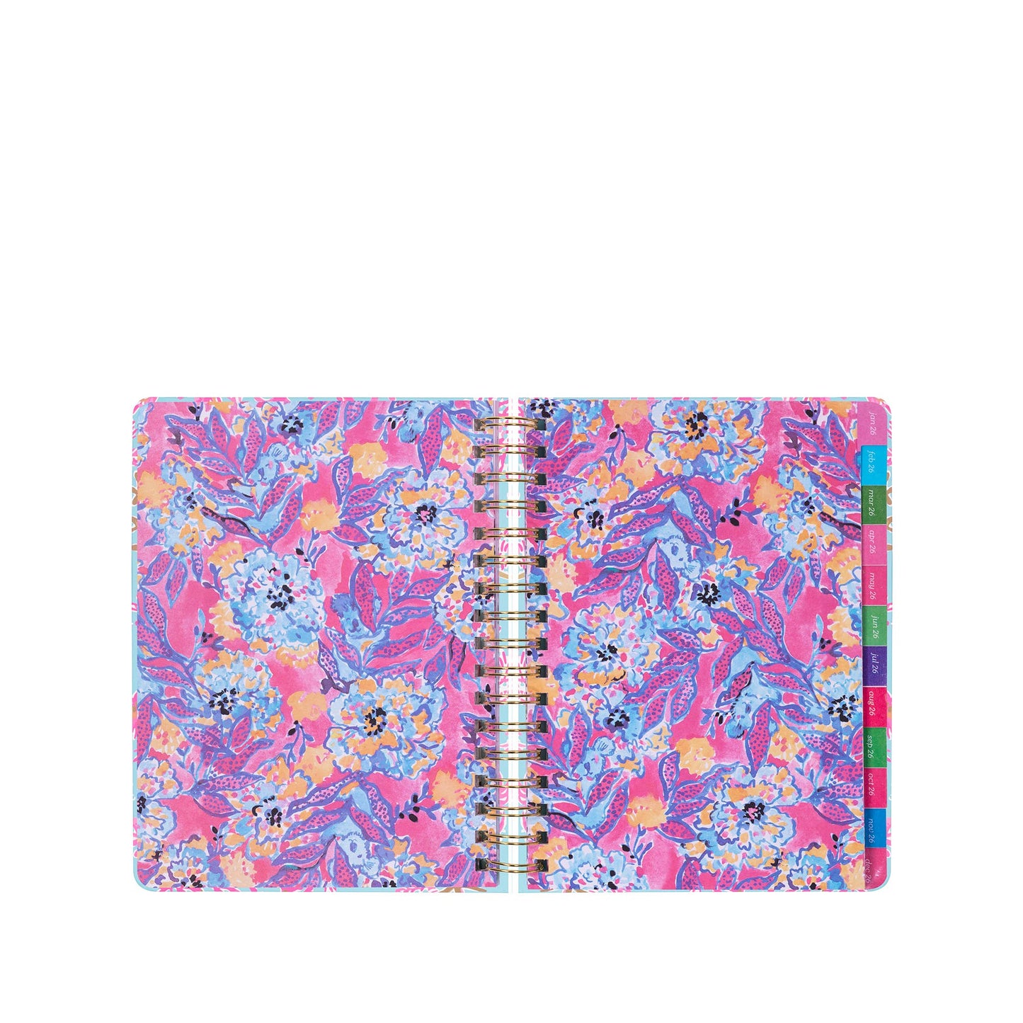 LP 17 Month Agenda - Royal Coral