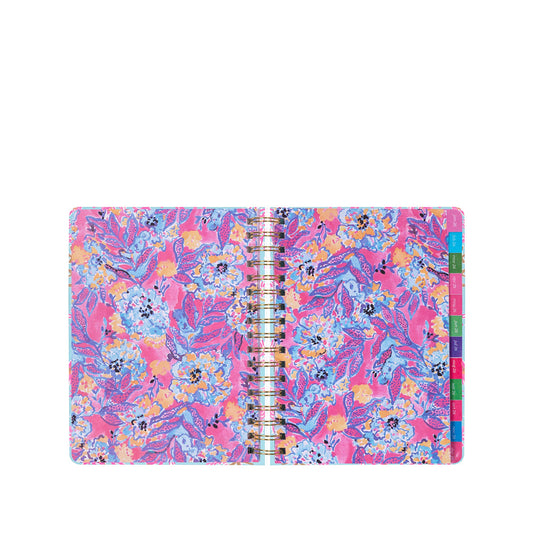 LP 17 Month Agenda - Royal Coral
