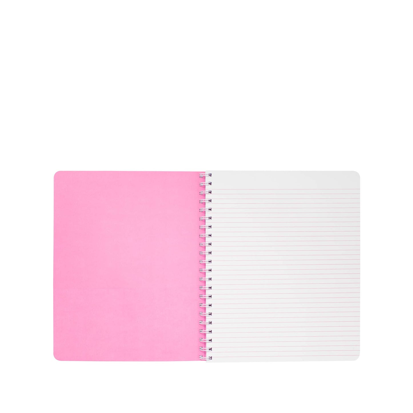 LP Large Notebook - Frenchie Blue Caning