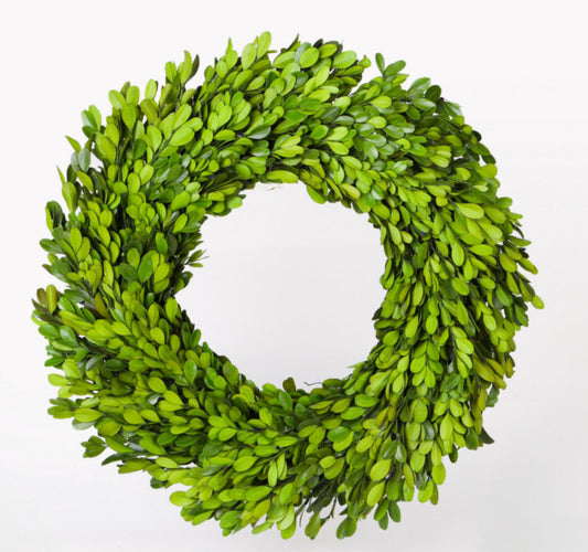 Boxwood Regal wreath 30"