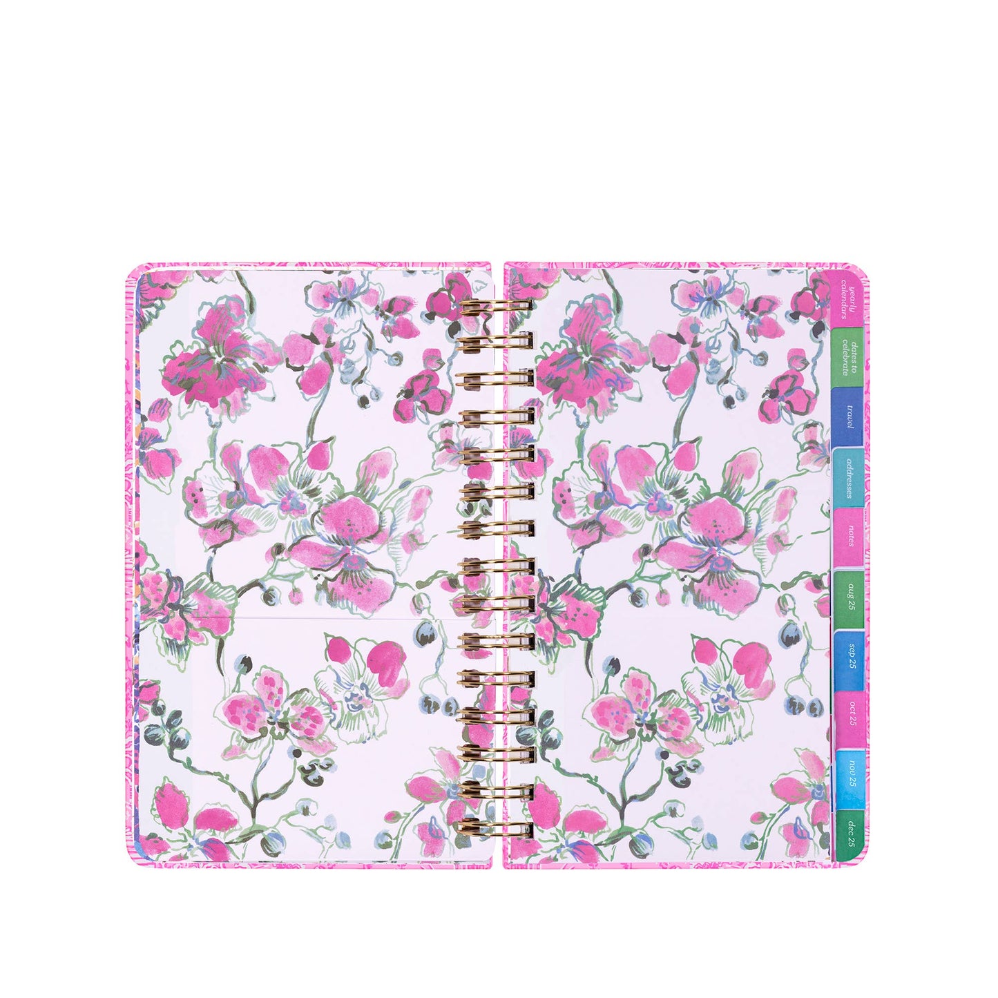LP Med 17 Month Agenda - Palm Beach Playground