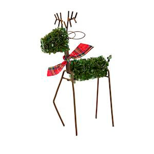 MP LG Boxwood reindeer Sitter
