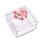 MP Acrylic Box