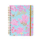 LP 17 Month Agenda - Royal Coral