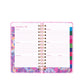 LP Med 17 Month Agenda - Palm Beach Playground