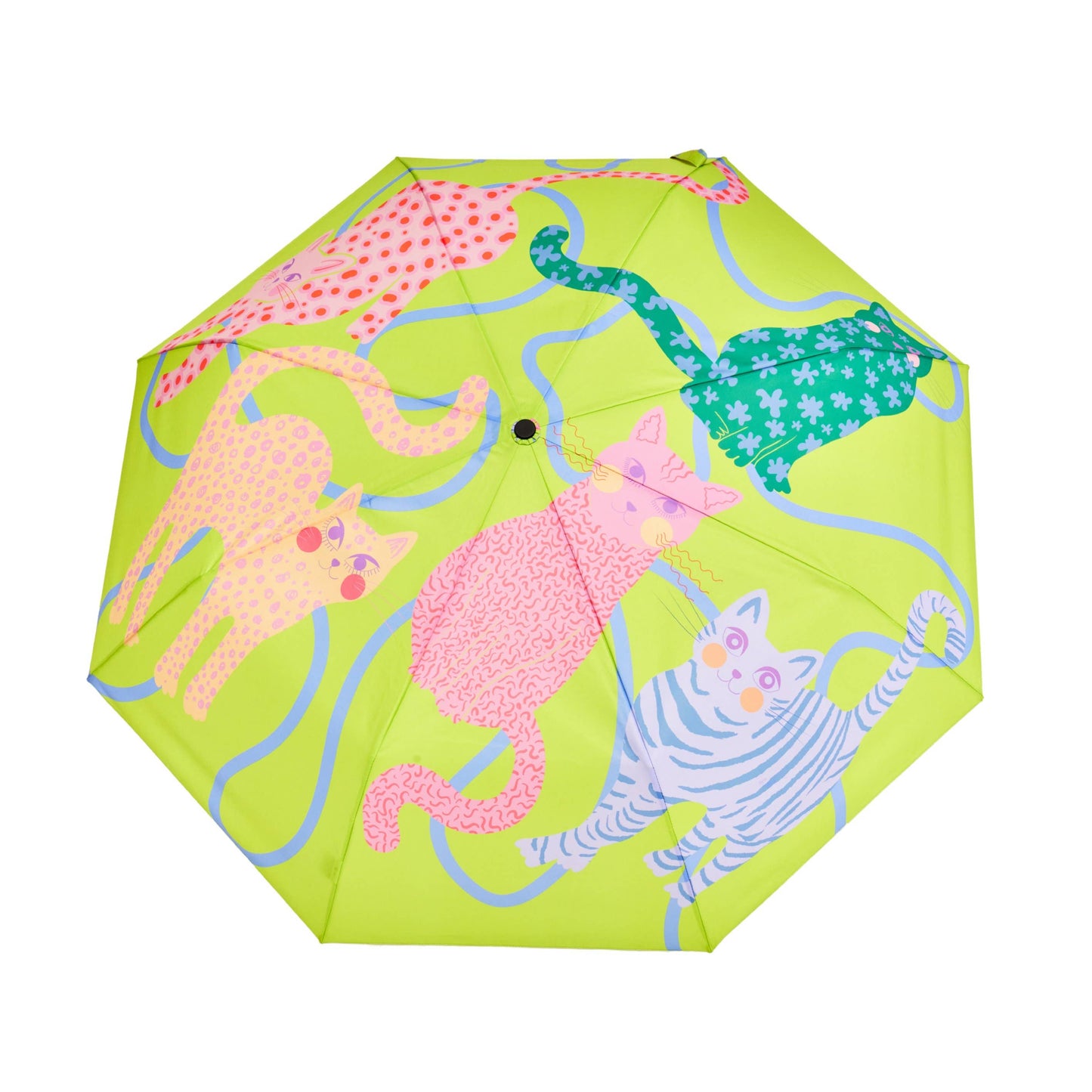 NEW Print! Lime Arty Cats Eco-Friendly Duck Umbrella