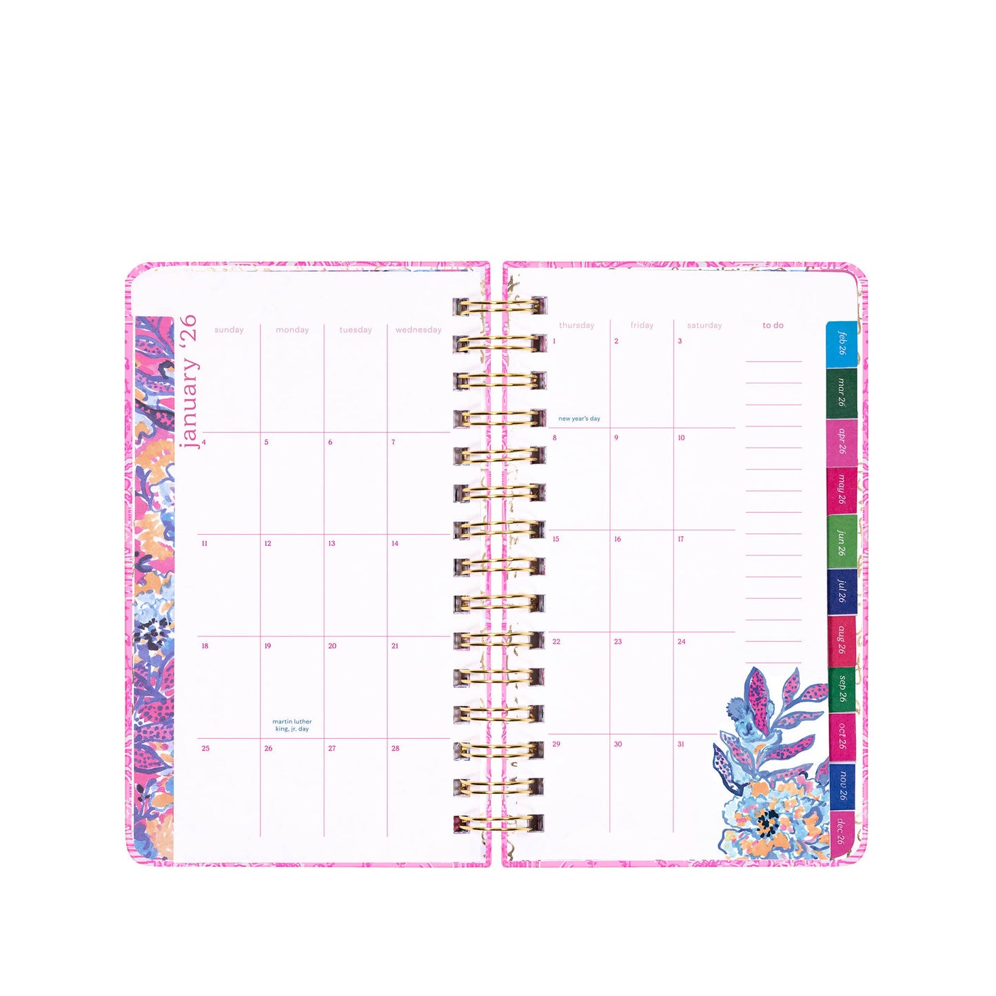 LP Med 17 Month Agenda - Palm Beach Playground