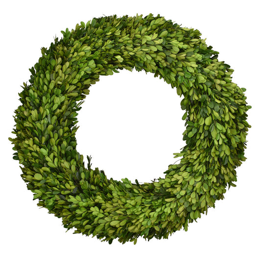 Boxwood 20 inch wreath