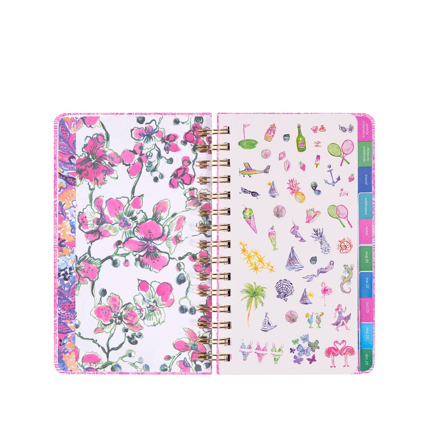 LP Med 17 Month Agenda - Palm Beach Playground