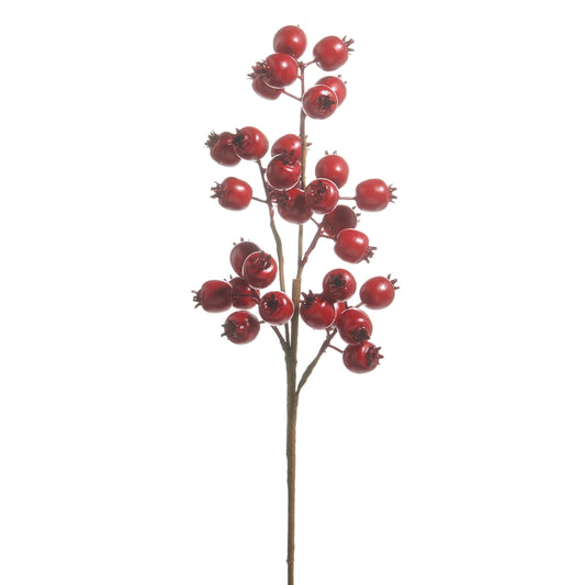 RI 21" Matte Red Berry Pod Spray
