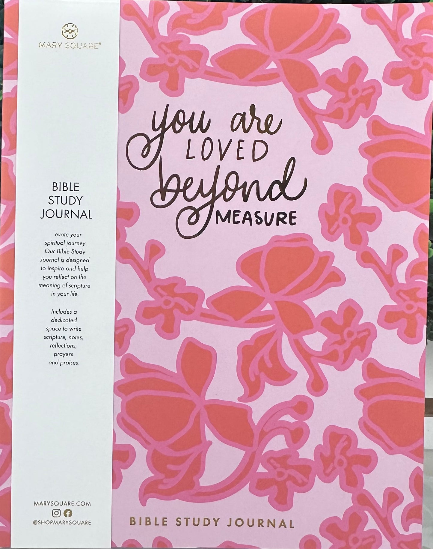 MS Bible Study Journal - You are Loved