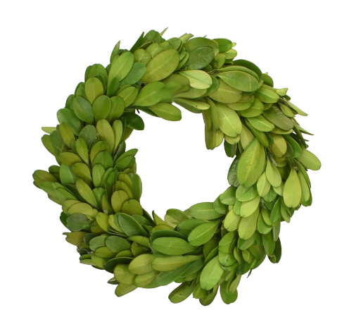 Boxwood 4.5" candle ring