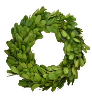 Boxwood 6" candle ring