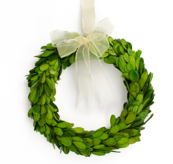 Boxwood 8" Wreath w/ Ribbon