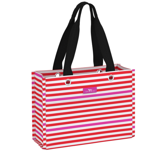 Scout Tiny Package Holiday