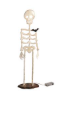 MP Light Up Skeleton Sitter