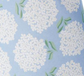TC Hydrangea Paper Shade Cover