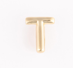 MM Hannah Initial Luxe Charms