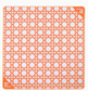 OMM Mini Cane Mat