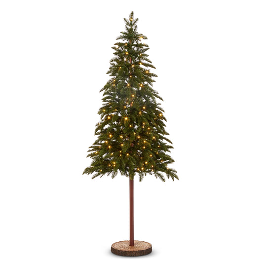 RI 5.5' Potted Fir Tree