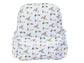 AOI Backpack