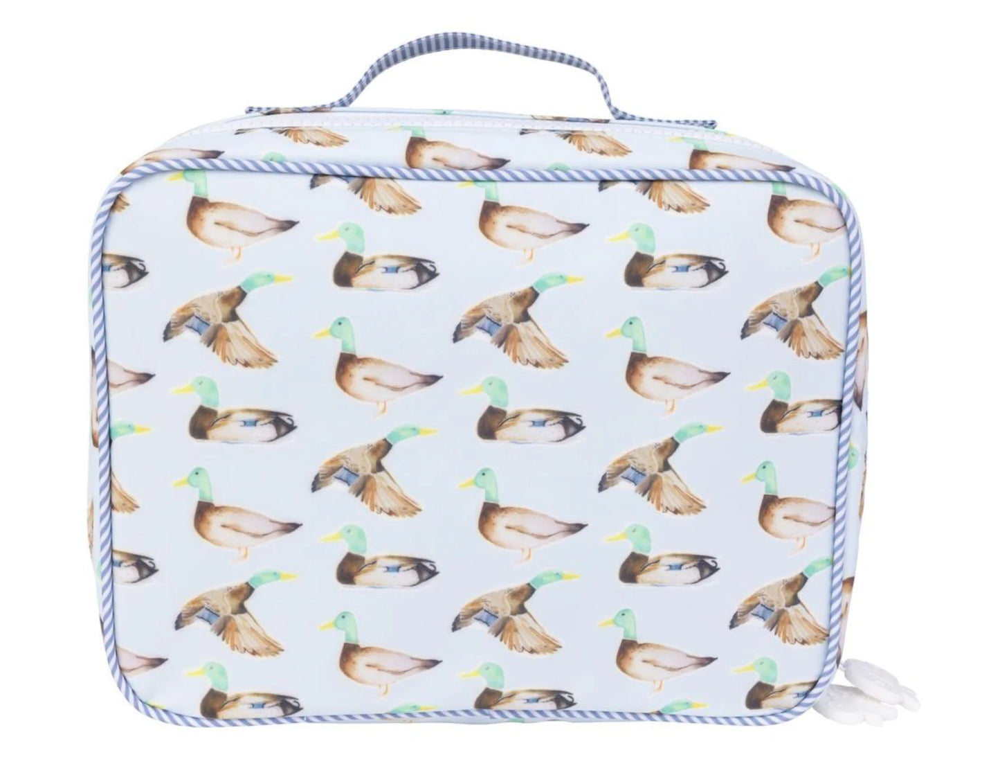 AOI Lunchbox