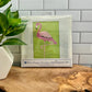 BPD Needle Point Kits - Wild Life