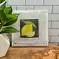 BPD Needlepoint Kits - Florals & Fruits
