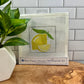 BPD Needlepoint Kits - Florals & Fruits