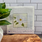 BPD Needlepoint Kits - Florals & Fruits