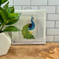 BPD Needle Point Kits - Wild Life