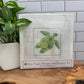 BPD Needle Point Kits - Coastal
